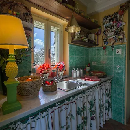 Villa Belvilla By Oyo La Noce Cortona