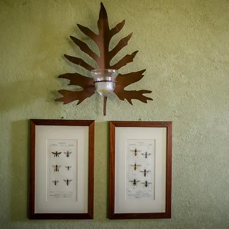 Belvilla By Oyo La Noce Villa Cortona
